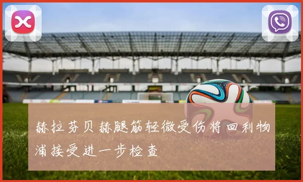赫拉芬贝赫腿筋轻微受伤将回利物浦接受进一步检查